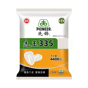 先玉335玉米种子登海先锋正品原装玉米种子红轴大棒抗病抗倒伏