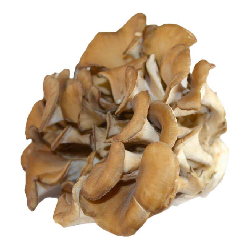 新鲜沁蕊150g/盒日本轻食舞茸