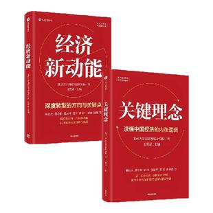 关键理念 经济新动能 套装2册 北京大学国家发展研究院著 王贤青主编 中信出版社图书 正版