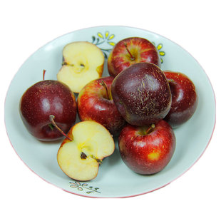 东北龙丰大秋果顺丰包邮黑龙江小苹沙果龙秋海棠特产新鲜水果产地