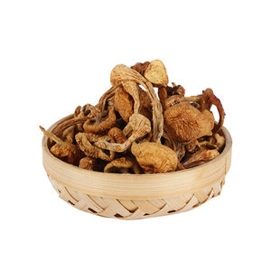 东北特产新货滑子蘑滑子菇干货蘑菇华子蘑华子菇新货包邮