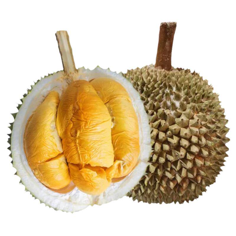 马来进口液氮黑刺榴莲顺丰当季