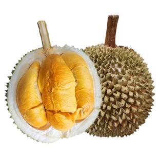 马来西亚进口液氮冷冻D200黑刺整果榴莲新鲜水果顺丰孕妇当季水果