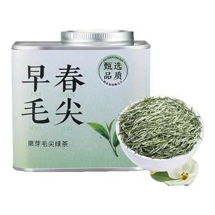 绿茶毛尖头采春季高山2025新茶明前手工制新芽浓香型茶叶礼盒100g