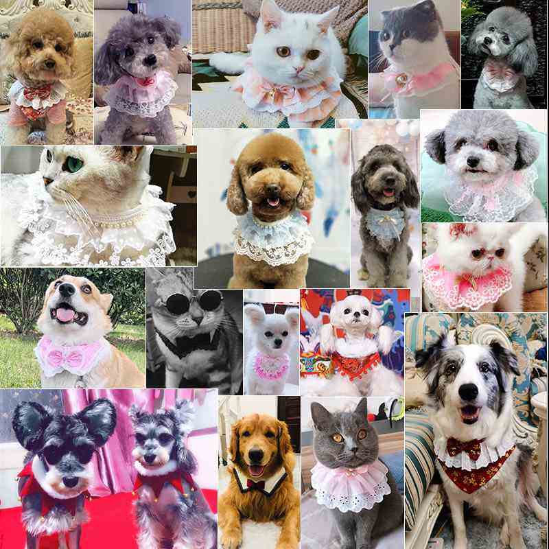 宠物公主风猫狗围脖蕾丝口水巾狗狗装饰品围巾猫咪围兜泰迪围嘴