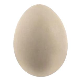 芦丁鸡受精种蛋可孵化迷你网红宠物鸡小鸡蛋纯白礼服瓦灰德系变异