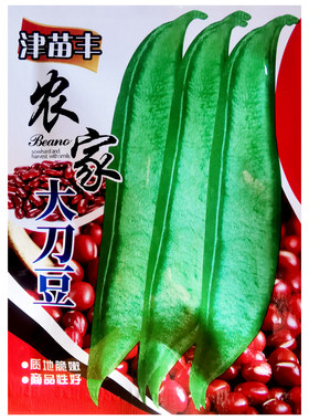 霸王大刀豆种籽爬藤蔬菜豆角