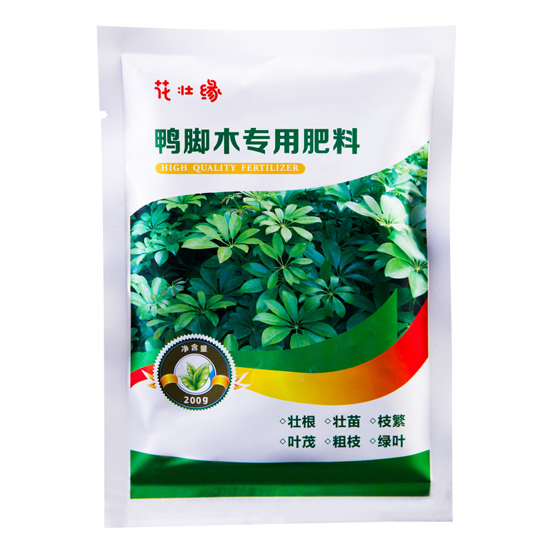 鸭脚木肥料促进生长防止烂根
