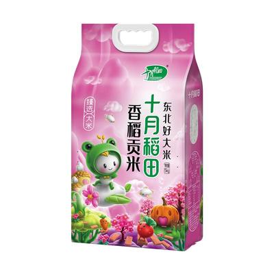 十月稻田香稻贡米5kg东北大米