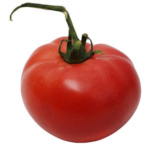 番茄种子苗大西红柿种籽菜苗秧苗蔬菜孑子小矮生黑秧大全菜种夏季