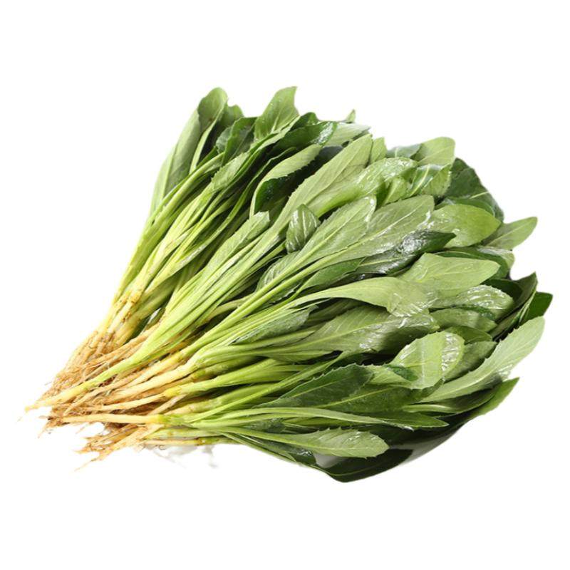 【现货】现摘新鲜蔬菜藏红花1斤装 云南当季蔬菜藏红花菜野菜包邮