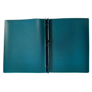 staples lettersize蝌蚪夹binder插页夹三孔文件夹薄款50张纸包邮