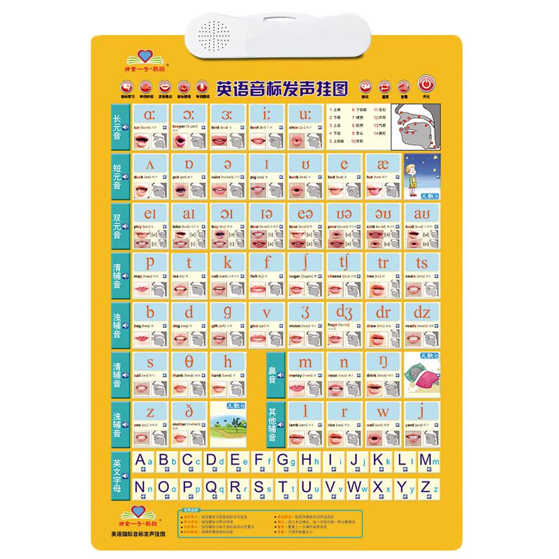 小学初中老师教学用英语音标有声挂图大挂图点读发音跟读发音讲解