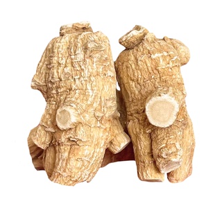 西洋参整根切片正品加拿大进口官方旗舰店500g人参片泡水粉中药材