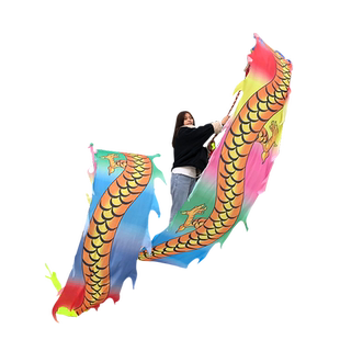 金星凌日神爪龙广场健身龙耍龙运动甩飘彩带舞龙头学中老年初舞龙