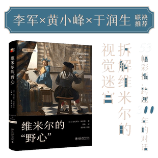 【当当网】维米尔的野心 中央美术学院李军、黄小峰、于润生联袂推荐，拆解维米尔的视觉迷宫 北京大学出版社 正版书籍