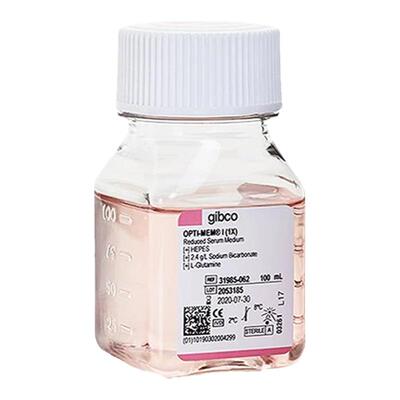 Gibco 31985-062 Opti-MEM I 减血清培养基（含L-谷氨酰胺）100ml