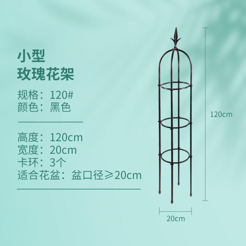 有寻植物 DAIM花架爬藤架月季铁线莲支撑杆自在格扇形拱门支架