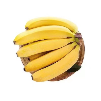 【新鲜现摘】高山大香蕉精选品质