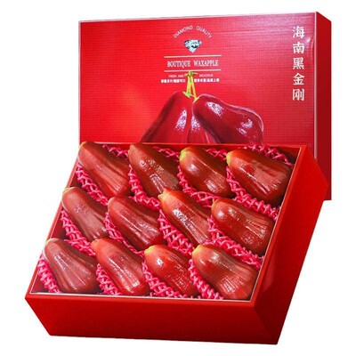 顺丰包邮海南黑金刚莲雾A+果王