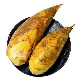 新鲜冬笋四川冬笋农家现挖野生竹笋黄泥楠竹笋冬笋嫩笋甜笋大冬笋