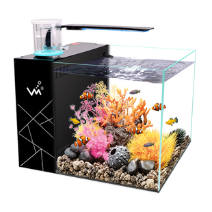 小型桌面客厅办公室超白玻璃生态背滤自循环海水鱼小丑鱼缸水族箱
