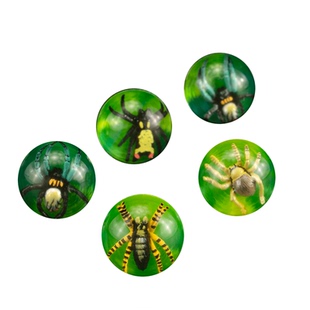 45号弹力球儿童玩具弹跳球实心橡胶跳跳球二元扭蛋机透明公仔球