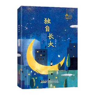 【暑假读一本好书】独自长大 万花筒星星点灯迎风生长超越自我的心灵之旅6-9-12岁中小学生课本课外书 青少年儿童成长小说阅读书籍