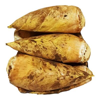 2025冬笋新鲜现挖竹笋新鲜蔬菜笋雷笋腌笃鲜毛笋春甜笋整箱包邮