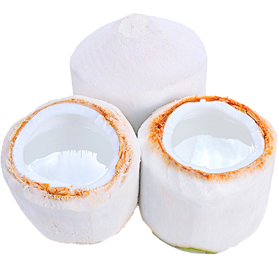 泰国新鲜进口香水椰青9个装清甜