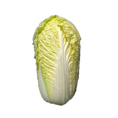 萌黄小白菜种子春秋大白菜四季