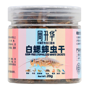 白蟋蟀冻干爬宠粮饲料鬃狮睫角守宫乌龟角姥爷树蛙绣眼鸟八哥粮食