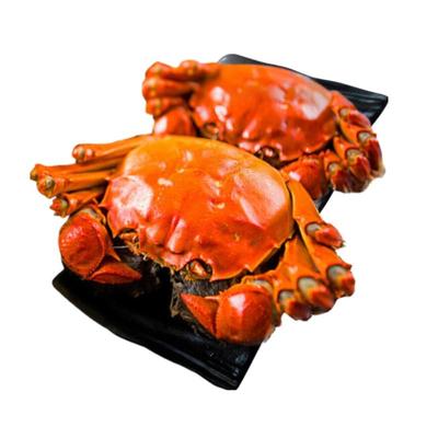 净重【活蟹】固城湖3.0两母8只