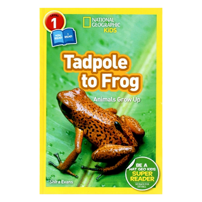 国家地理青蛙英文原版分级阅读