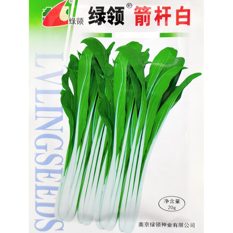 箭杆白青菜种子高大杆高脚高梗帮白菜腌制大棵青菜种籽20克4000粒