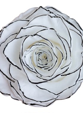 进口永生花RoseAmor玫瑰