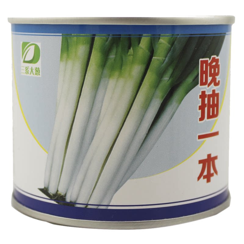 日本品种铁杆大葱种子厂家直销云南弯葱耐抽苔抗倒伏四季播种葱籽
