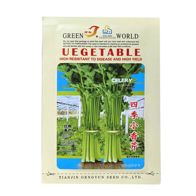 高产四季小香芹种子芹菜种子方震