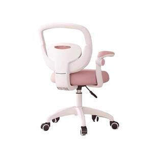 儿童学习椅子孩子写作业专用书桌椅子可升降矫姿防驼背学生座椅