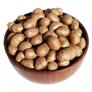 2025年现选山药豆种子大合芋白玉山药种精选大小均匀高产包邮