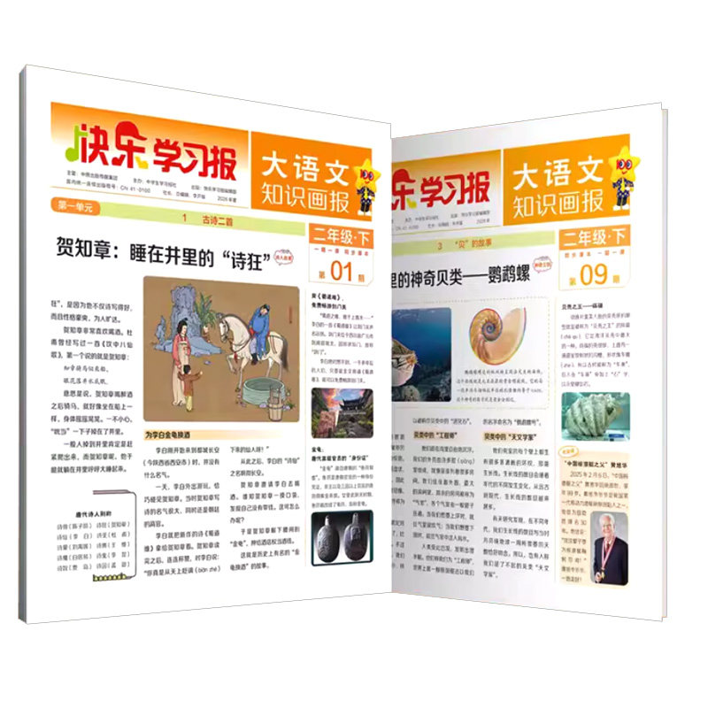 小学大语文知识画报快乐学习报