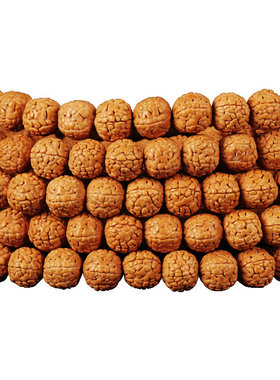 龙鳞纹小金刚菩提子盘龙纹爆肉