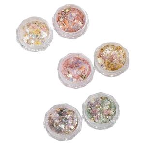 网红美甲秘境花园干花欧泊粉偏光梦幻七彩仙女云锦粉指甲亮片装饰