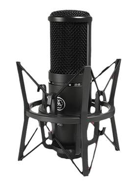 AKG/爱科技P120/P220专业电容麦克风录音配音人声乐器大合唱话筒