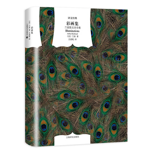 彩画集(兰波散文诗全集)(精)/译文经典 [法]兰波著 王道乾译 十九世纪末法国生活风情 诗人对世间的挑战 上海译文出版社 世纪出版