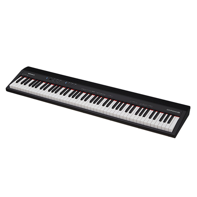 roland罗兰电钢琴入门力度键盘