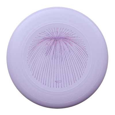 翼鲲极限飞盘新手团队户外