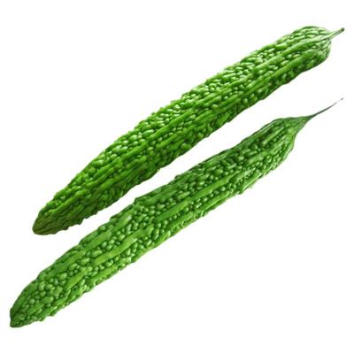 日本进口抗病耐低温四季播种苦瓜