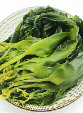 5斤新鲜特级霞浦火锅配菜小海带