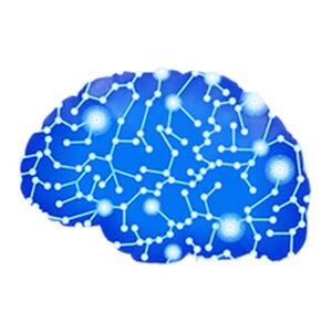 瑞文CRT智商测试官方正版